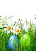 Oeufs color&eacute;s et fleurs au printemps